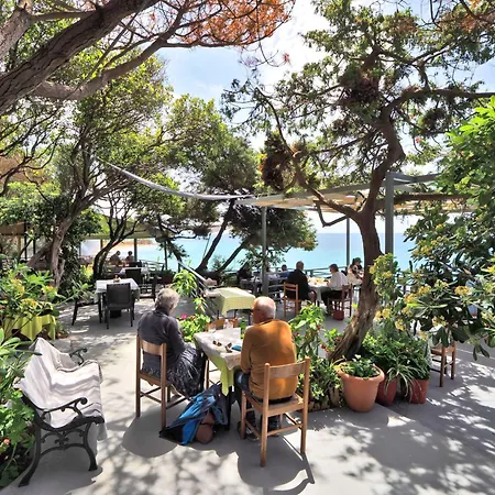 Flamingo Nerja